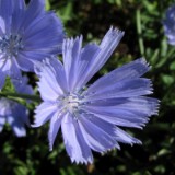 1208F 119 Neckar-Radweg